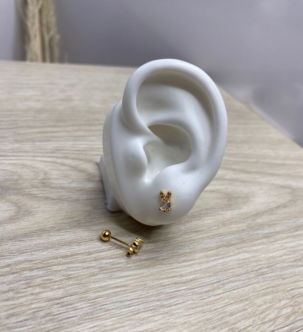 Topo de seguridad, carita de conejo blanco, covergold 