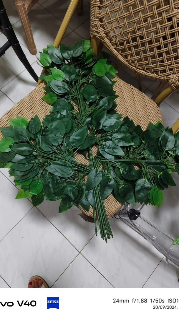 RAMAS DE ARBOL TREBOL