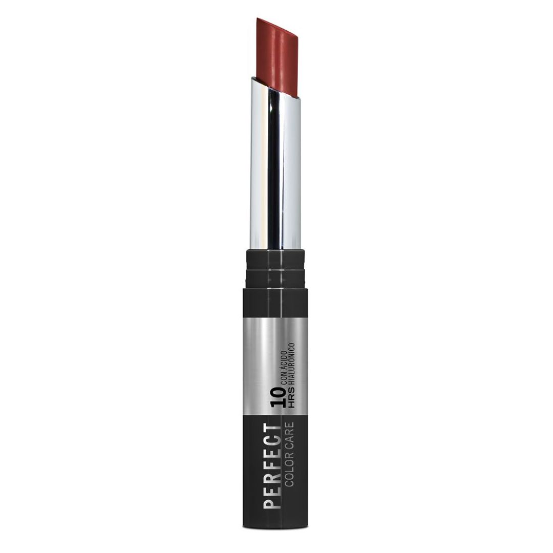ANA MARIA LABIAL PERFECT COLOR CARE MOCCA