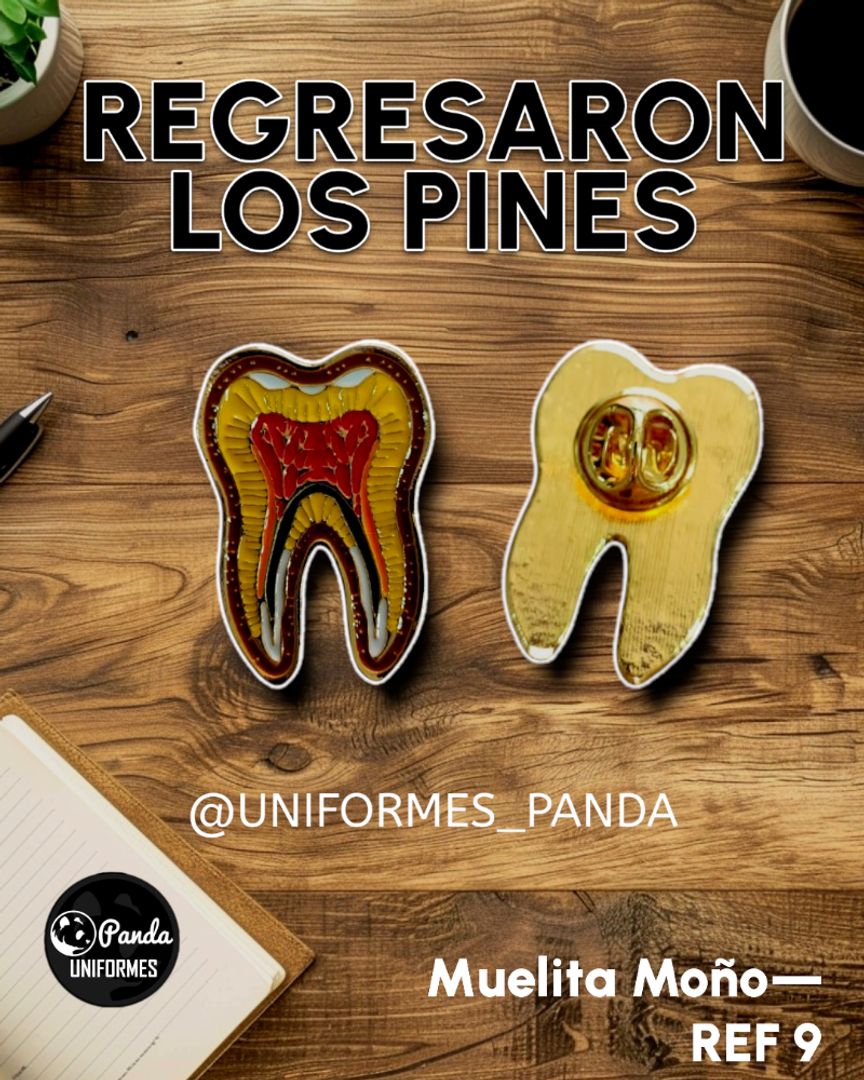 PIN MUELITA