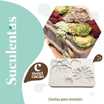 Suculentas - imagen 1