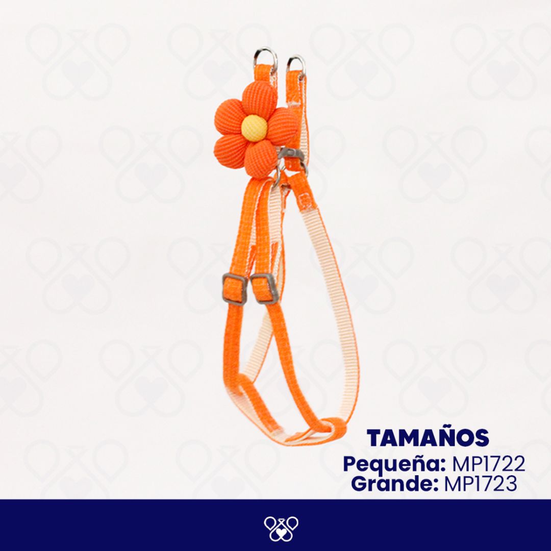 MP172-