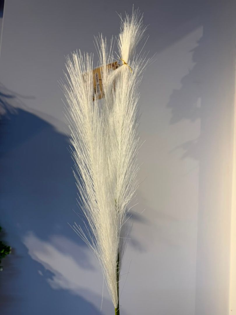 PAMPA MEDIANA IMPORTADA BLANCA