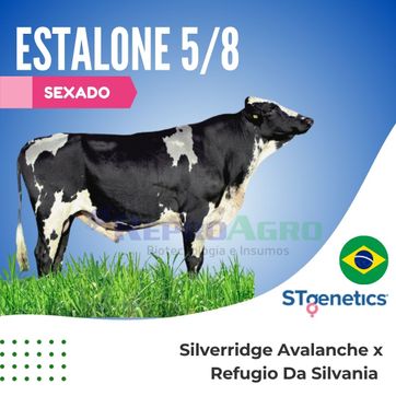 ESTALONE SEXADO - imagen 1