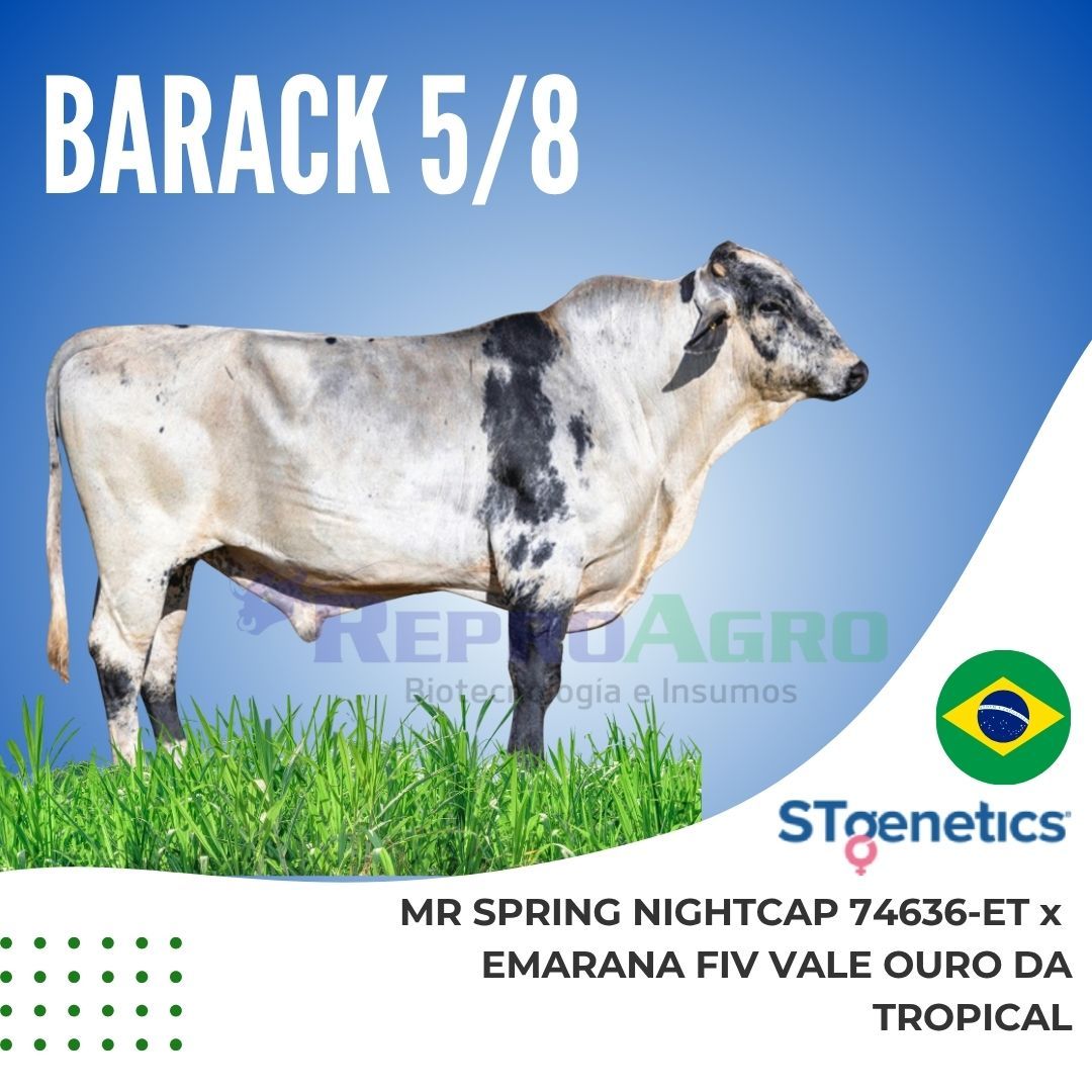 BARACK