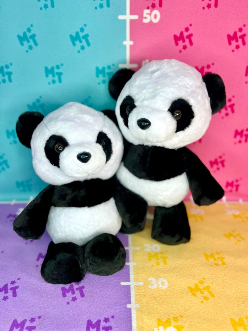 Pandita que corre A-40