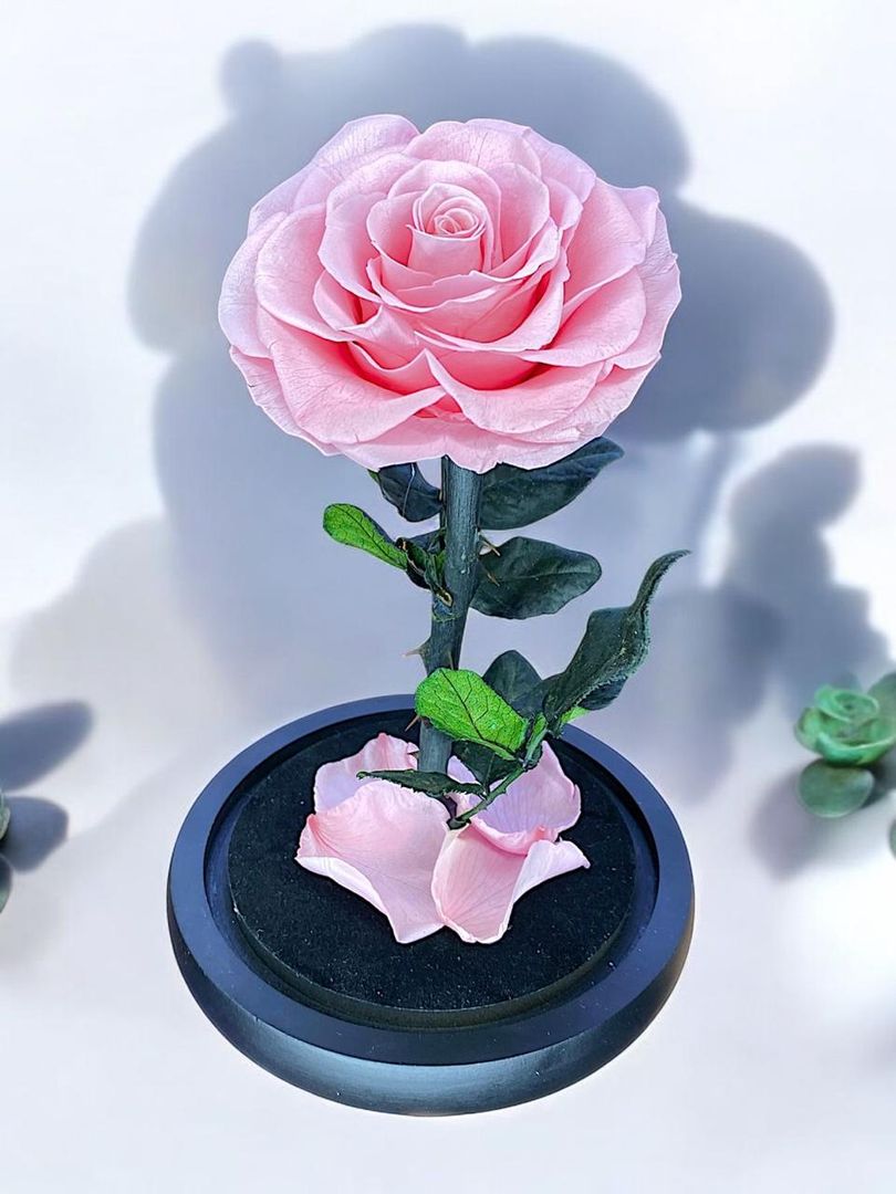 ROSA PRESERVADA O ETERNIZADA