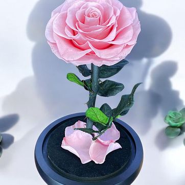 ROSA PRESERVADA O ETERNIZADA - imagen 1