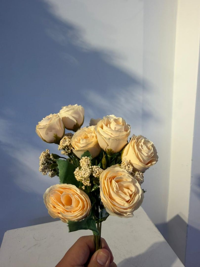 MINI ROSA BEIG X 5 VARAS