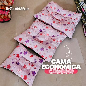 CAMAECO - imagen 1