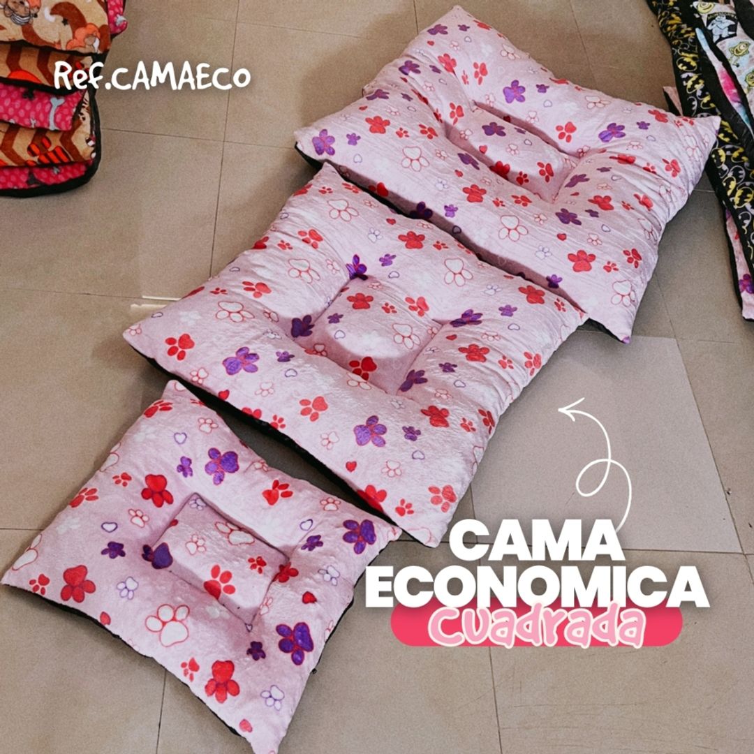 CAMAECO