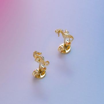 A Caballito de Mar - imagen 3