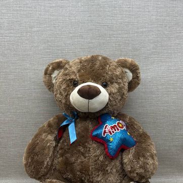 Imagen del producto OSO CON ESTRELLA (OSCURO) 60 CM