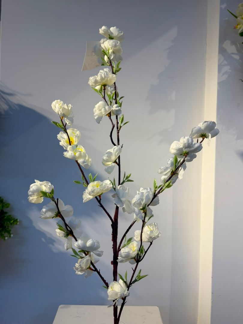 CEREZO BLANCO EN VARA