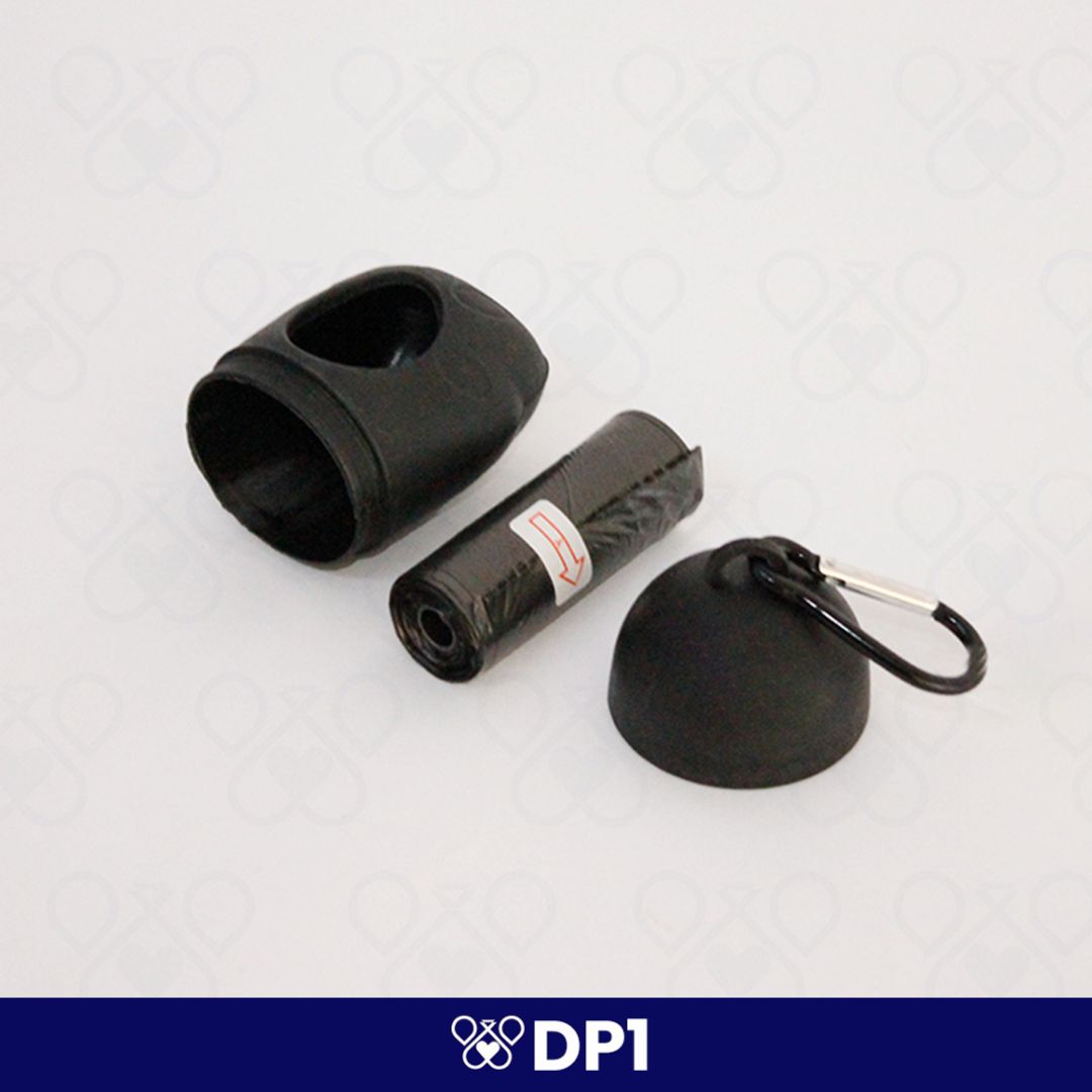 DP1