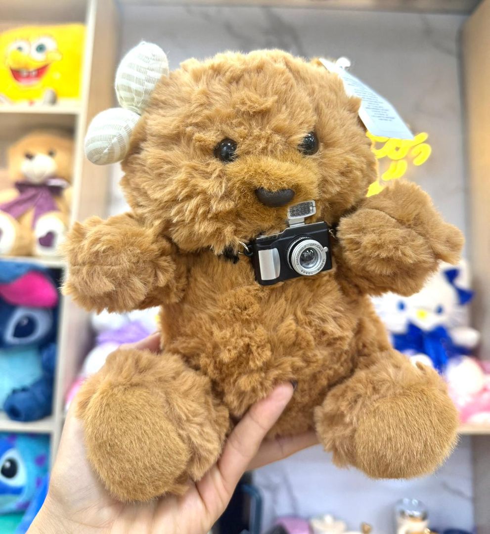 OSO CÁMARA de peluche 22cm