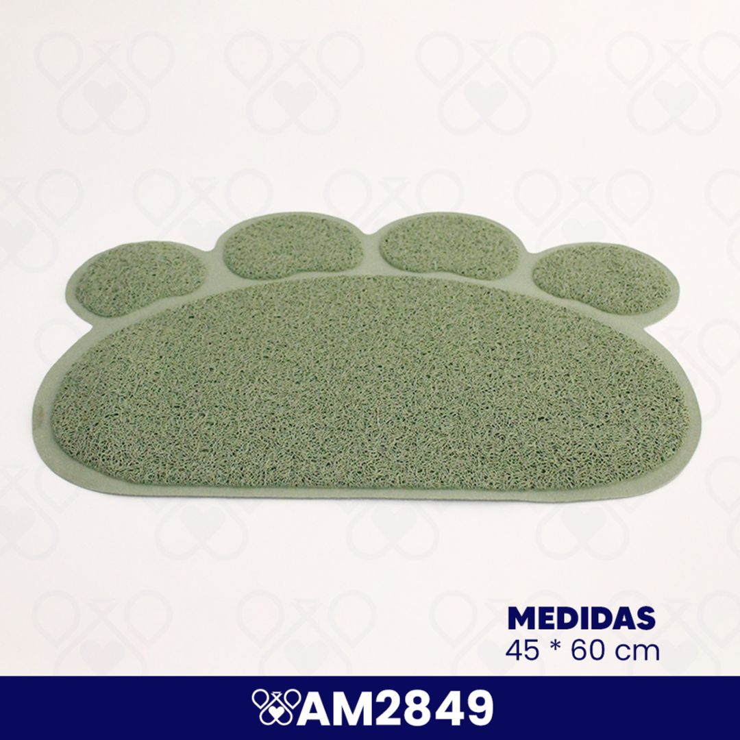 AM2849