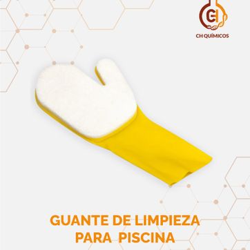 Imagen del producto GUANTE DE LIMPIEZA PARA PISCINA