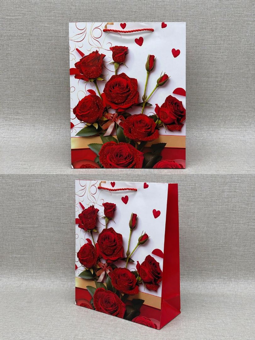 BOLSA DE REGALO SURTIDA 24X18 CM