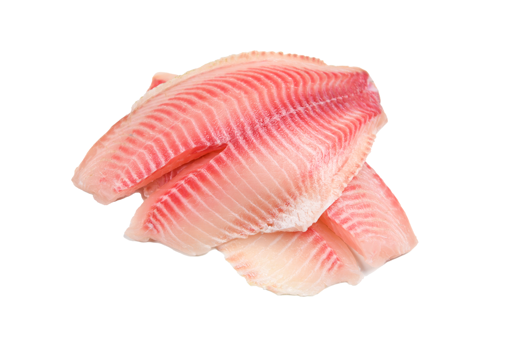 .FILETE DE TILAPIA PARGO PALTERO