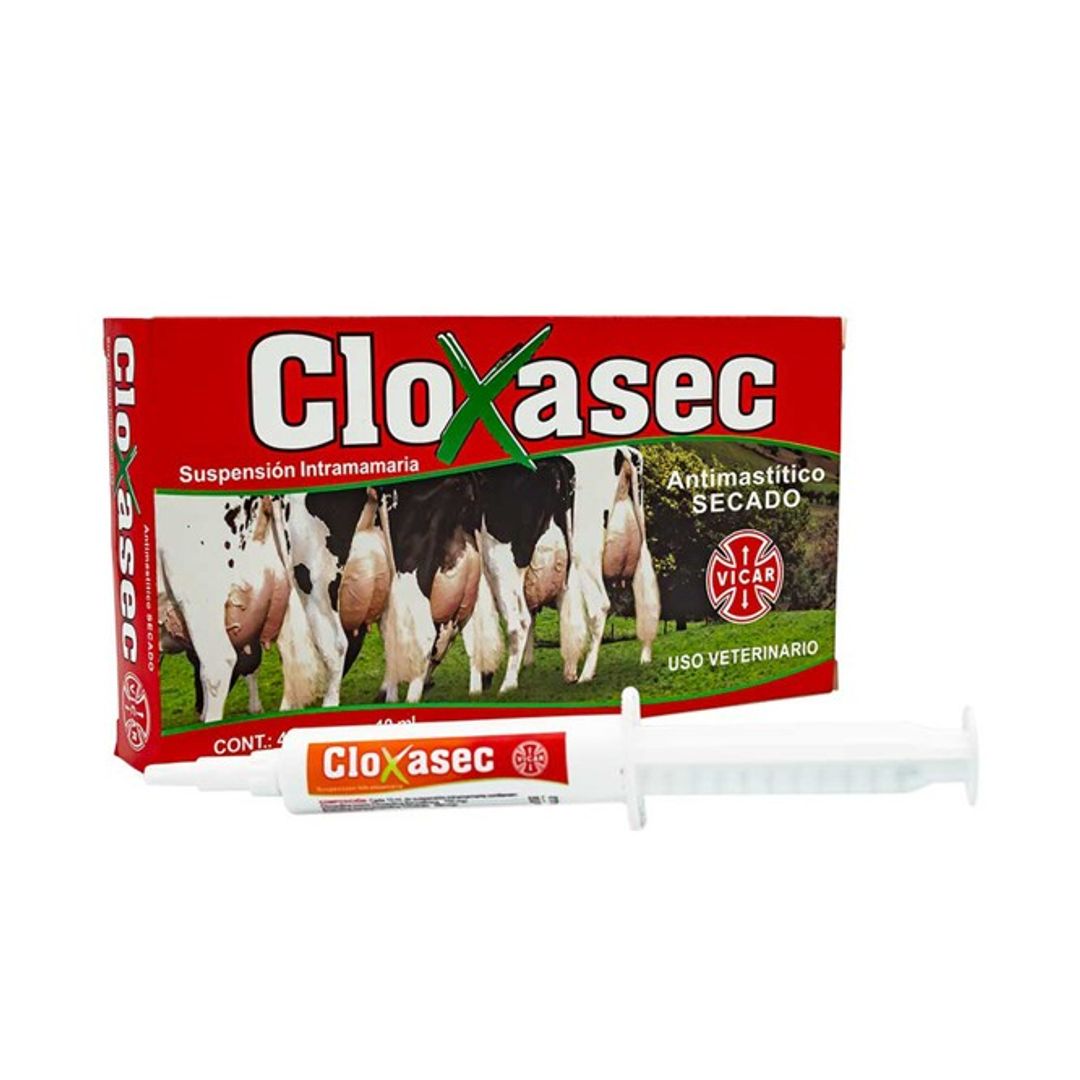CLOXASEC ANTIMASTICO x 4 Jeringas