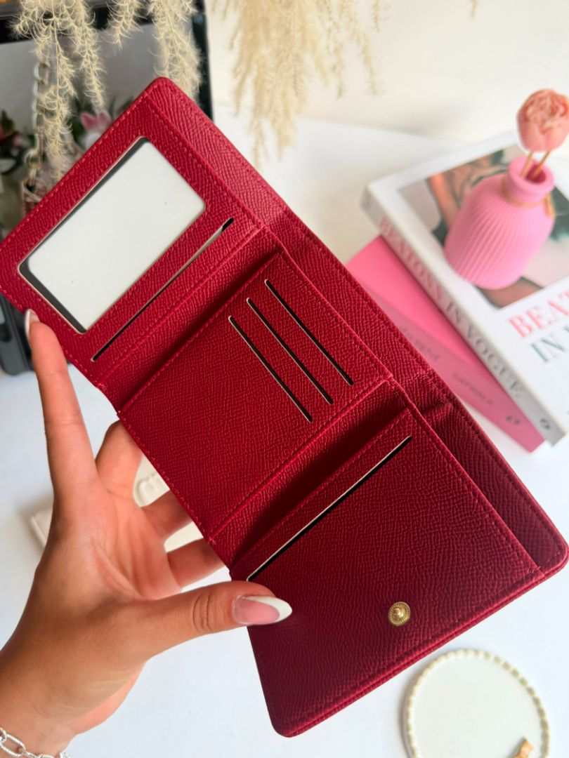BILLETERA CH 25194