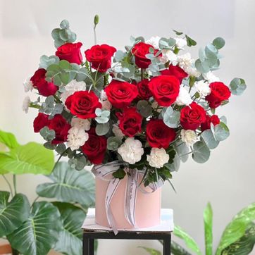 Imagen del producto REF.CAJA  ORGANICA