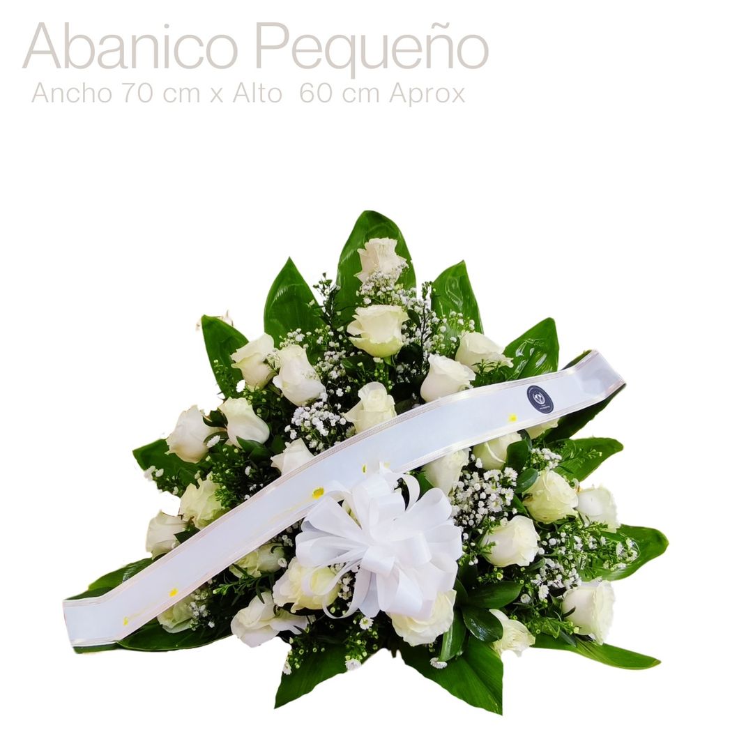RAMO ABANICO PEQUEÑO