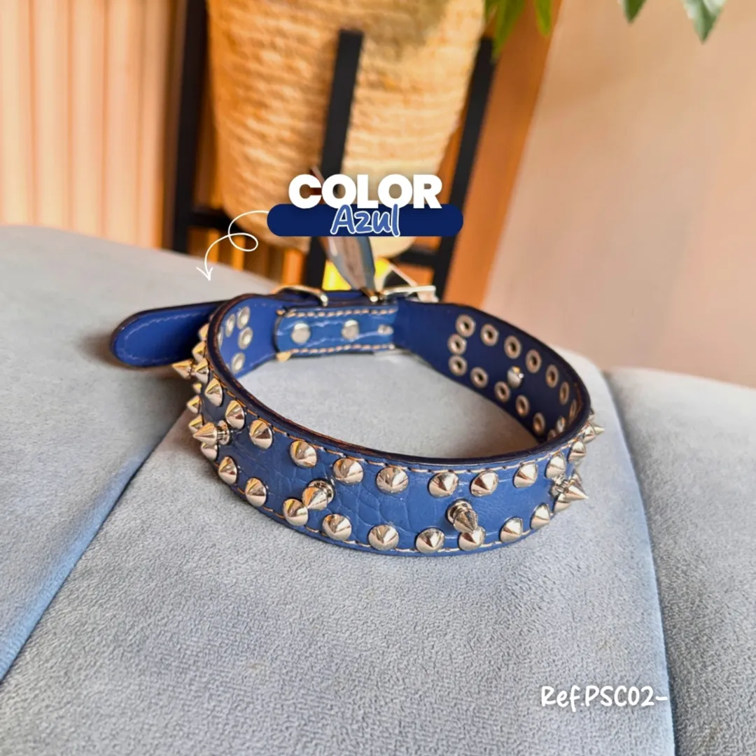 PSC02-