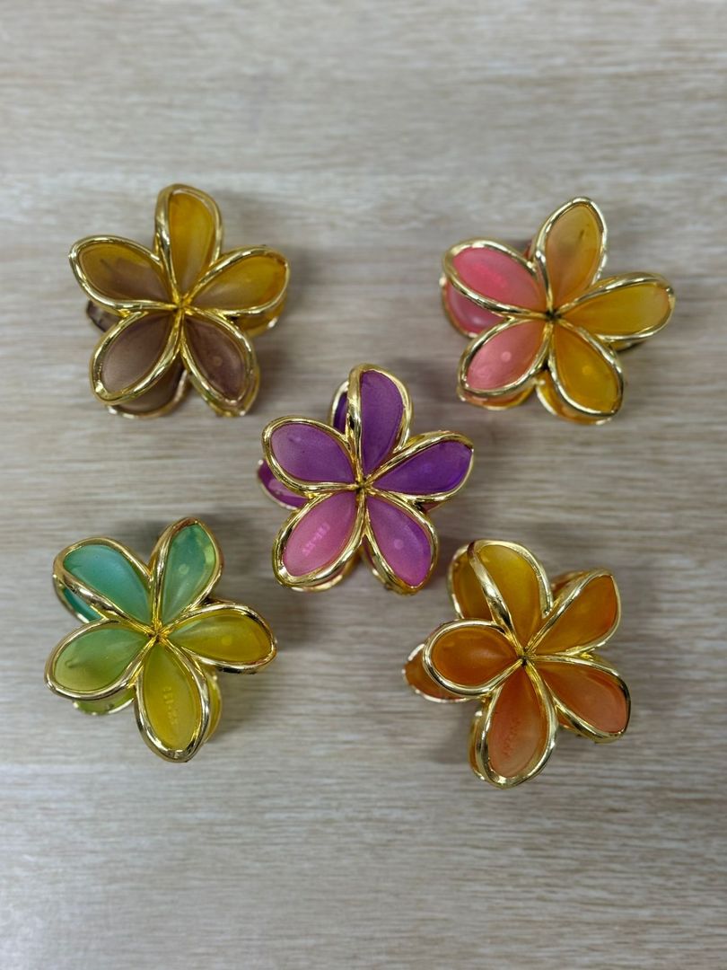 000 CAIMANES GRANDES FLOR