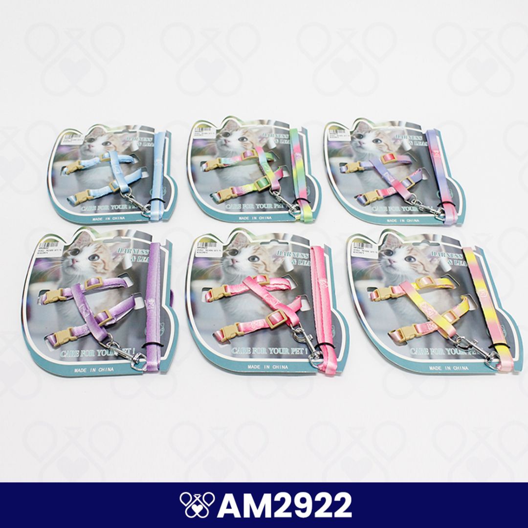 AM2922