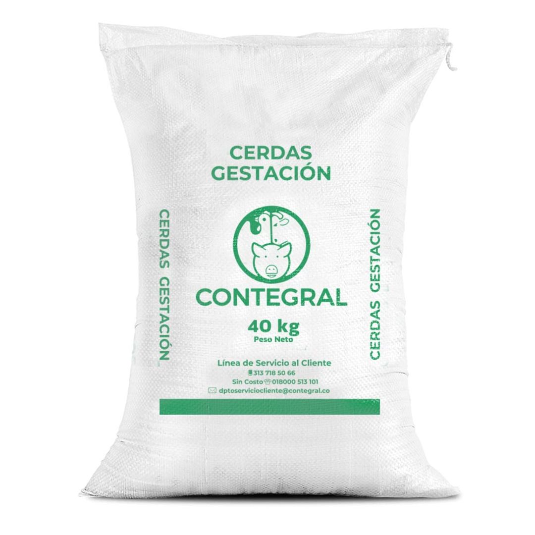 Cerdas gestacion