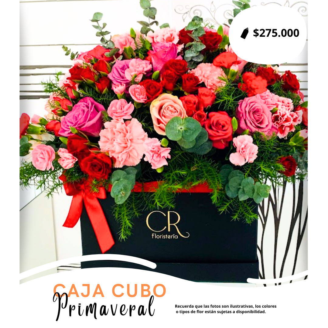 Caja Cubo Deluxe Primaveral