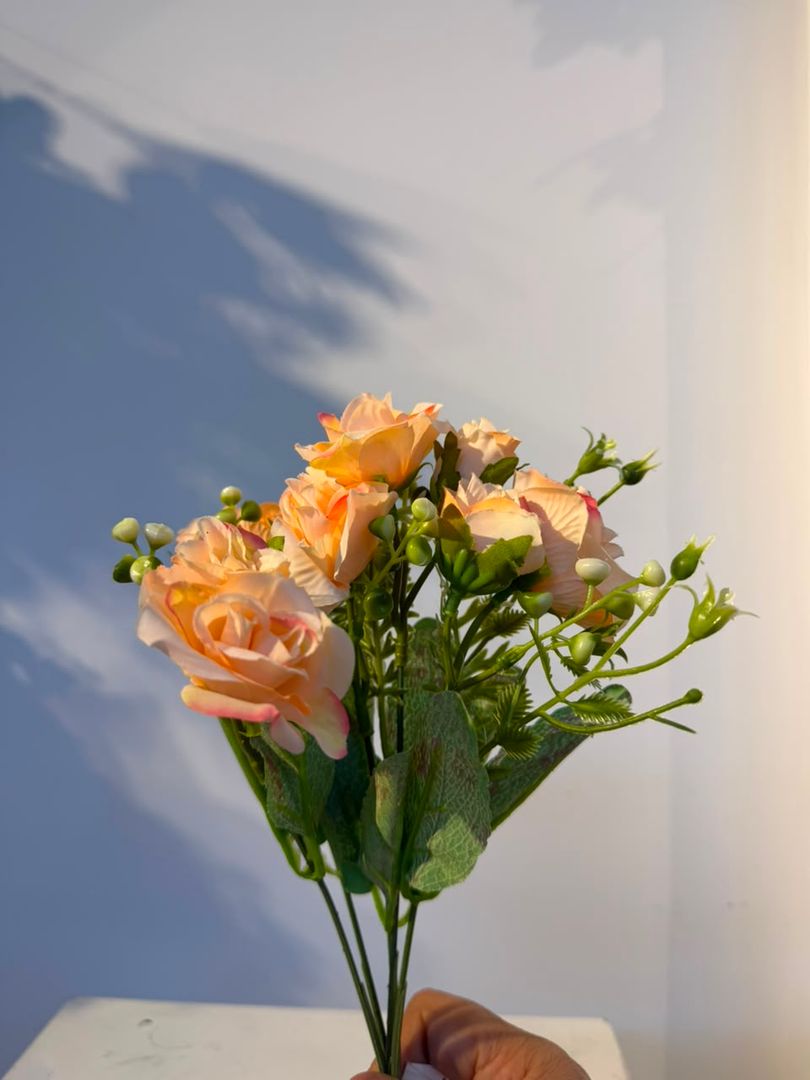 MINI ROSA CURUBA