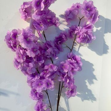Imagen del producto VARA DE CEREZO X 3 LILA