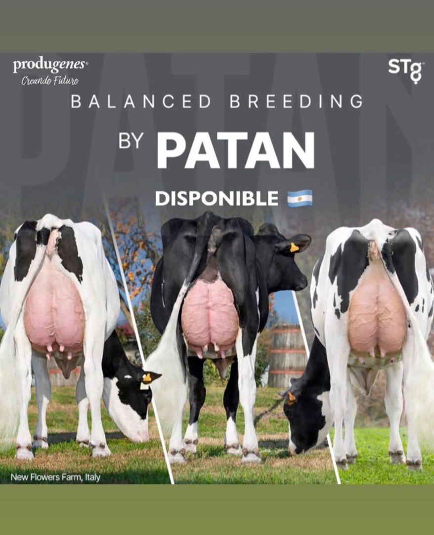 PATAN