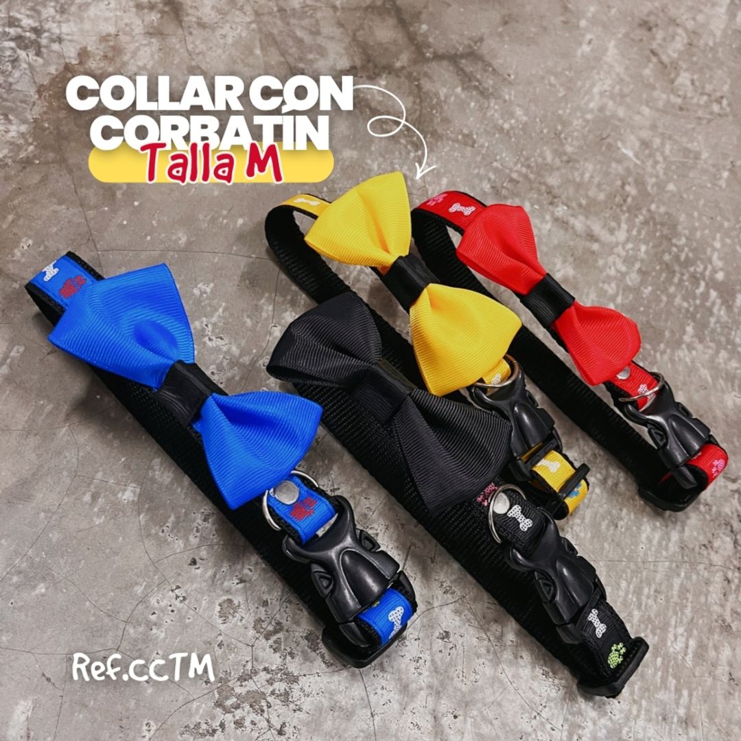 CCTM