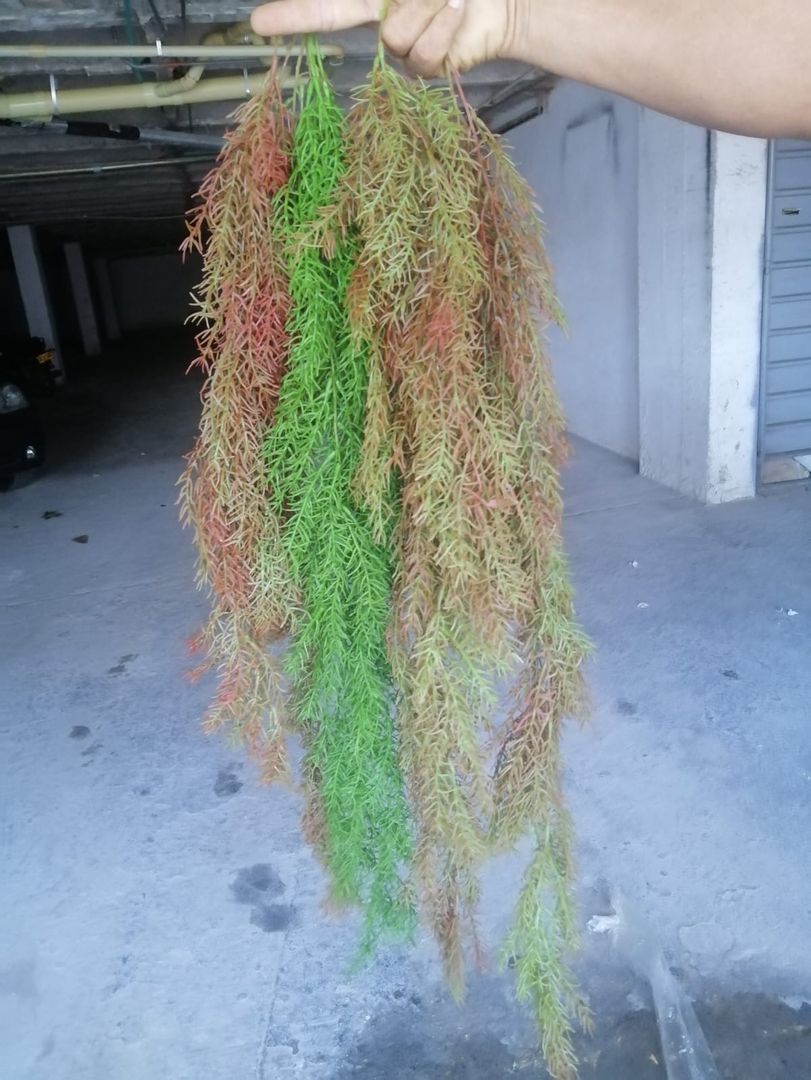 RELLENO PARA TECHO O PAREDES