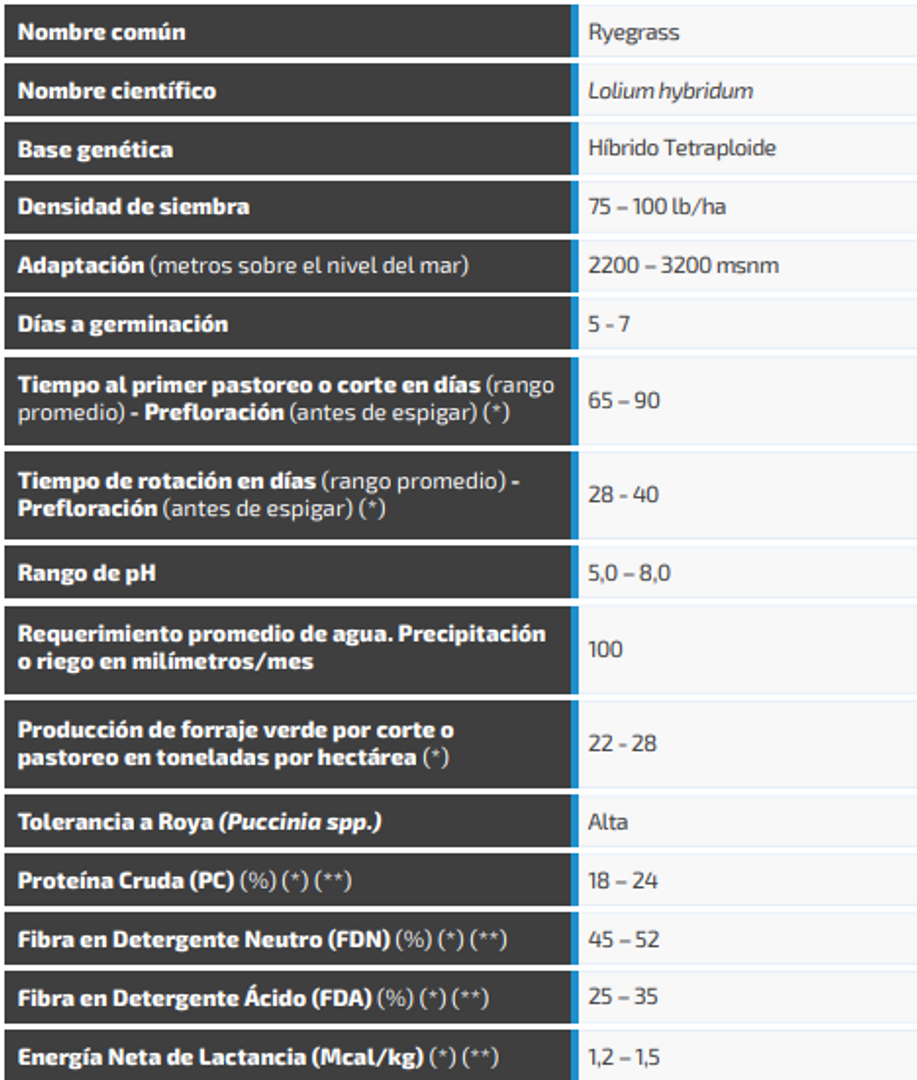 Ryegrass Bestfor Plus (Híbrido tetraploide) x Kilo