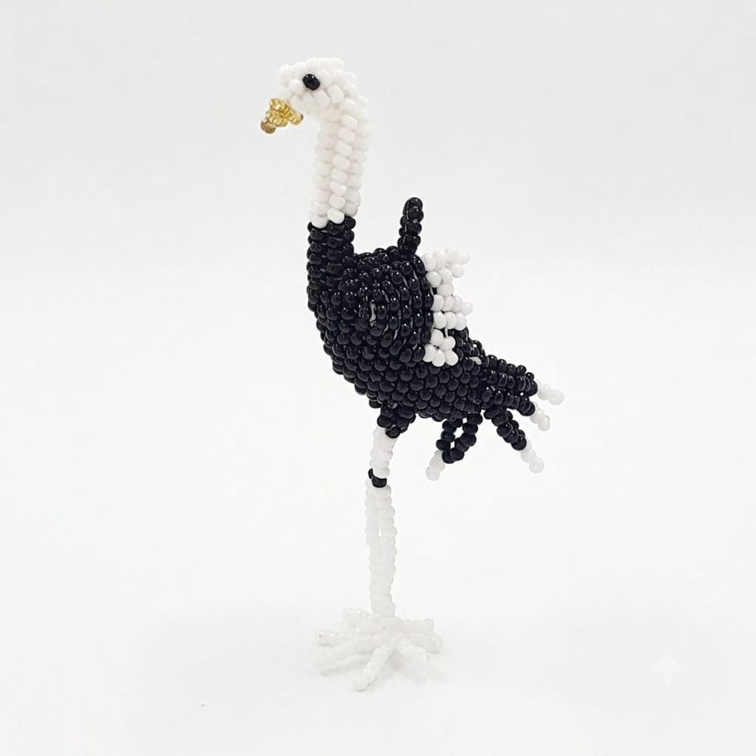 Charm Gaviota 3D