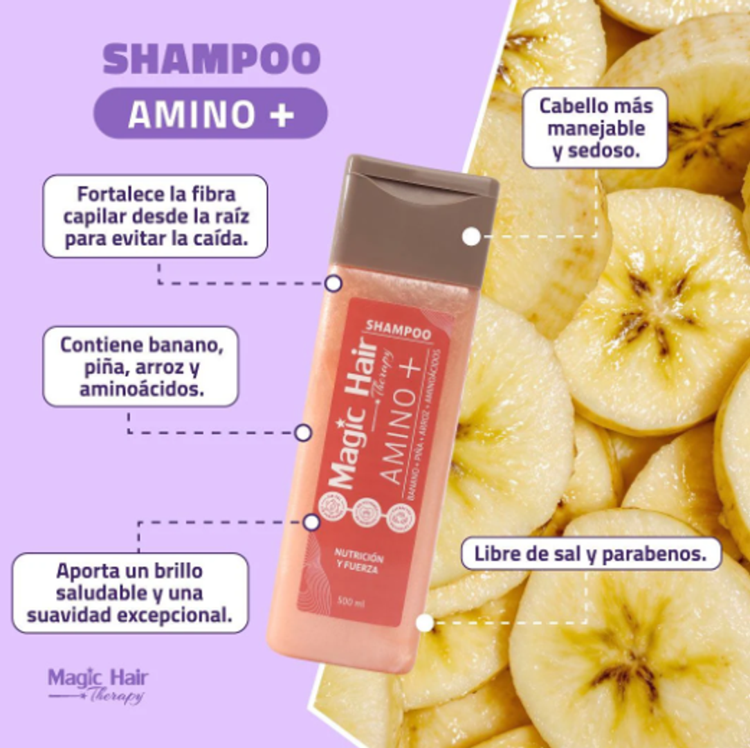SHAMPOO AMINO +