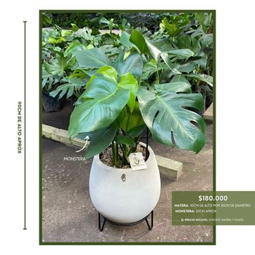 PROMO ARMA TU COMBO - imagen 2