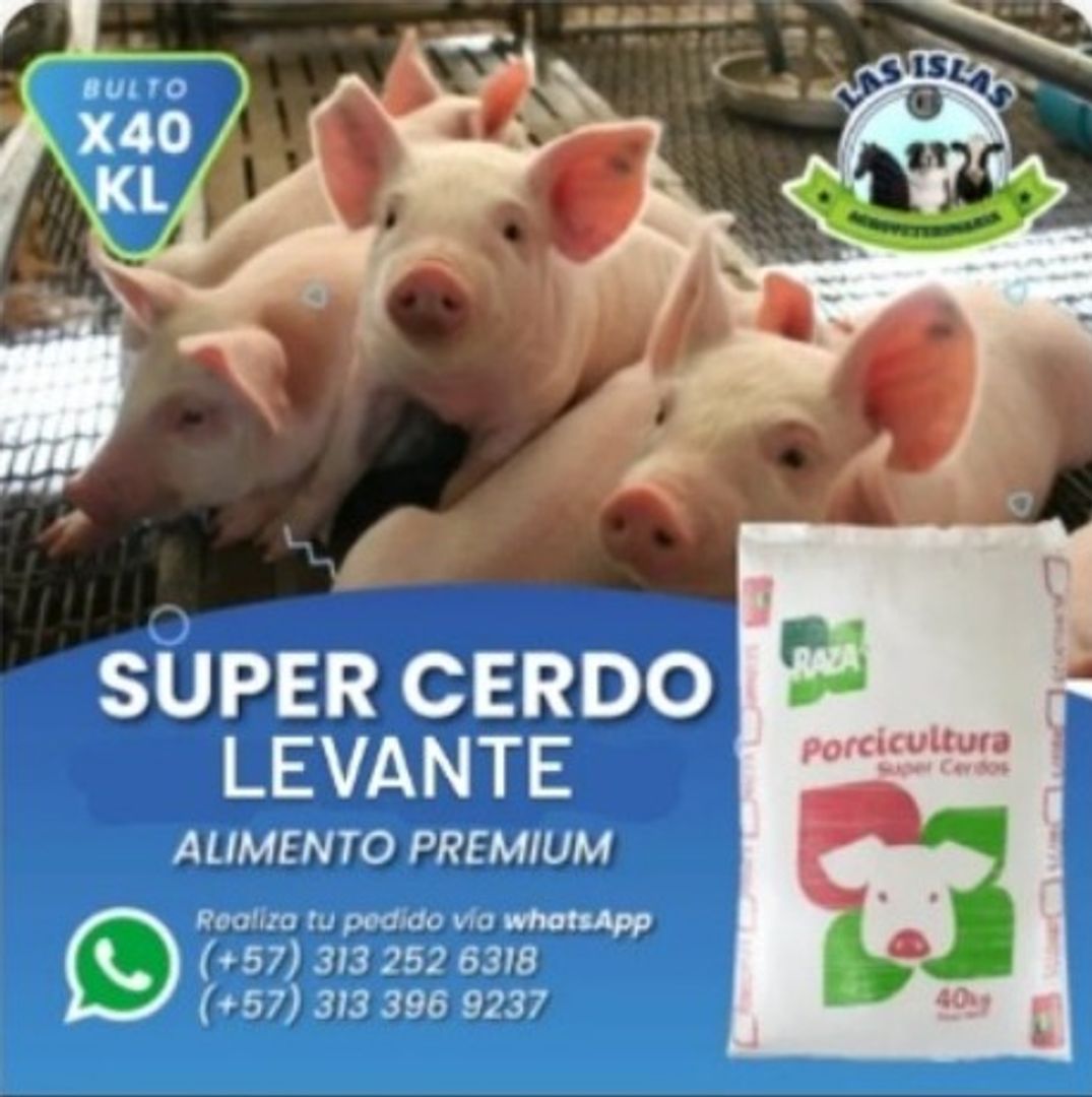 SUPER CERDO LEVANTE x 40 Kilos
