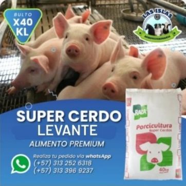 Imagen del producto SUPER CERDO LEVANTE x 40 Kilos