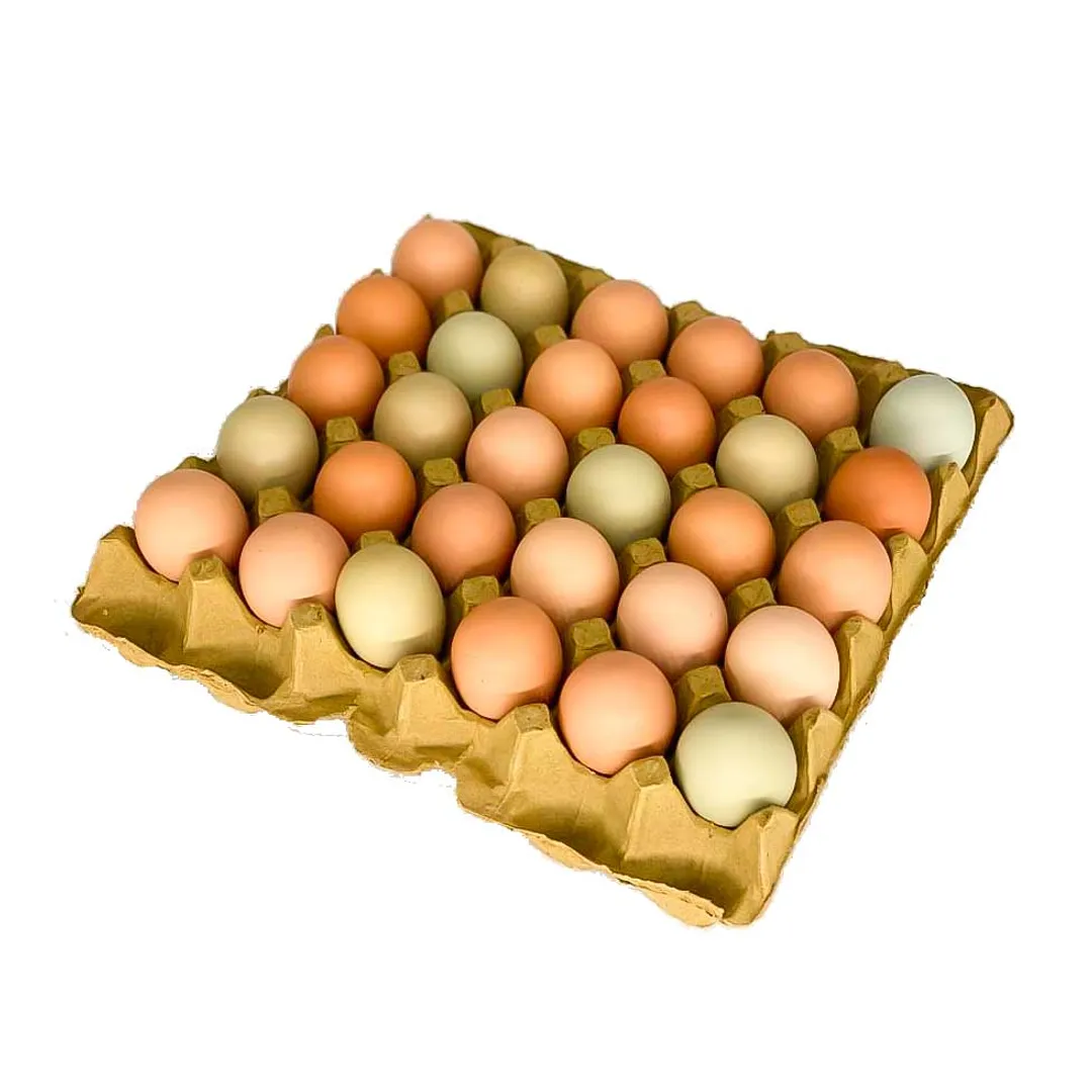 .CUBETA HUEVOS CAMPESINOS*30