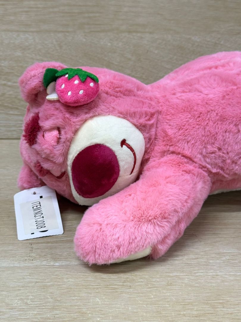 5850 LOTSO DORMILON 