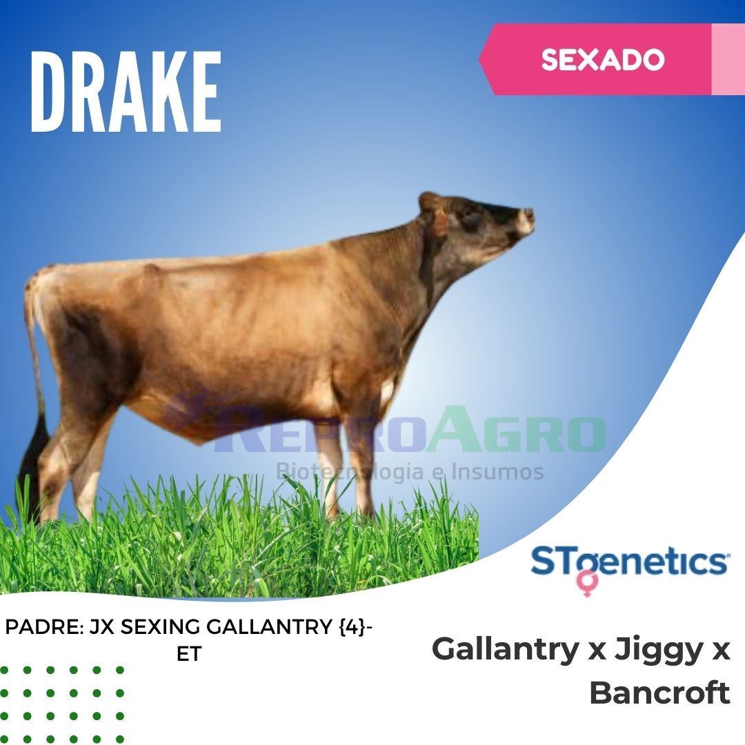DRAKE SEXADO
