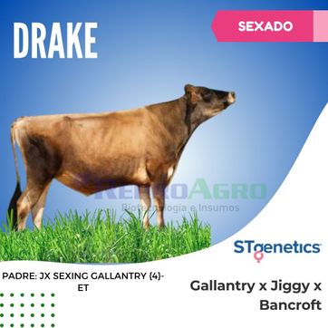 DRAKE SEXADO - imagen 1