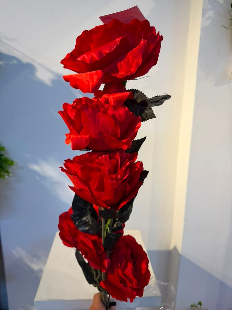 VARA DE ROSA X 5 ROJA