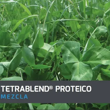 Tetrablend Proteico x Kilo - imagen 1